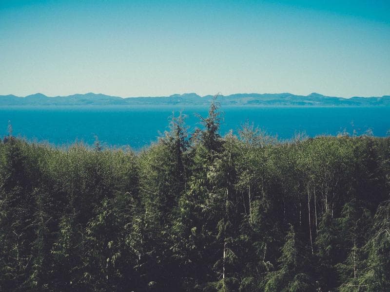 Cloud Data - Ink and algorithm on rice paper